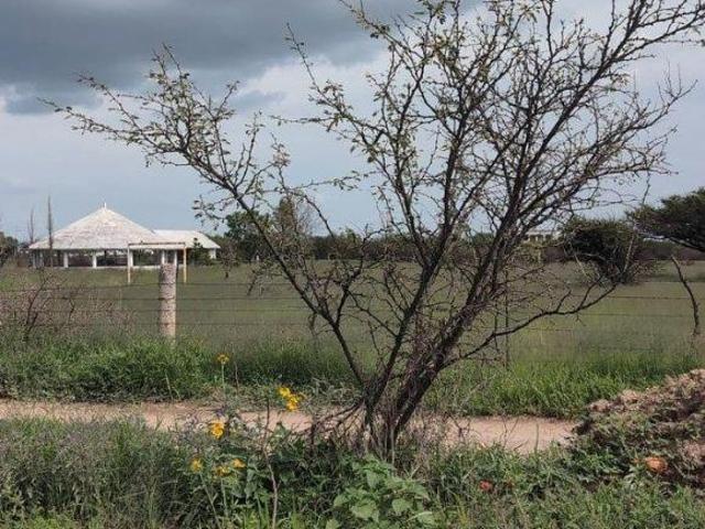 Terreno comercial en venta de 5,506 m² en Los Pocitos, Aguascalientes