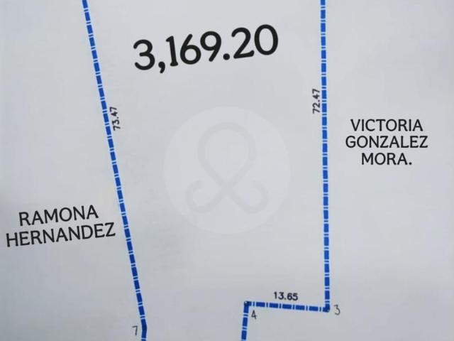 Terreno Comercial en venta en Fraccionamiento Parques de Tesist?n