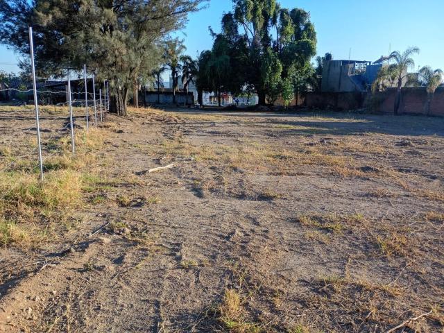 Terreno Comercial en venta en Fraccionamiento Parques de Tesist?n