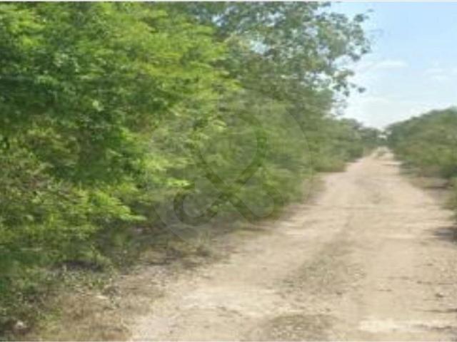 Terreno Comercial en venta en Buenavista