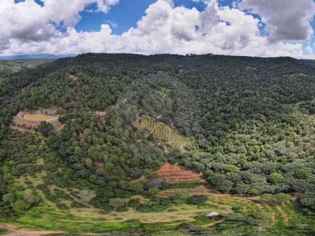 Terreno Comercial en venta en Coatepec Harinas