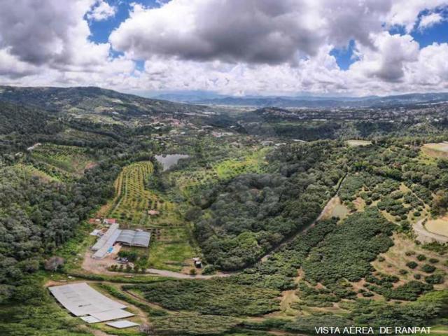 Terreno Comercial en venta en Coatepec Harinas