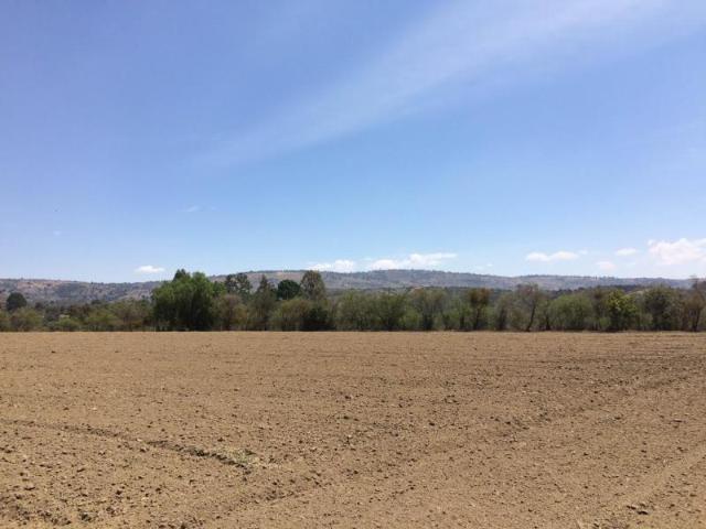 Terreno Comercial en Venta en El Calvario, Ixtacuixtla de Mariano Matamoros