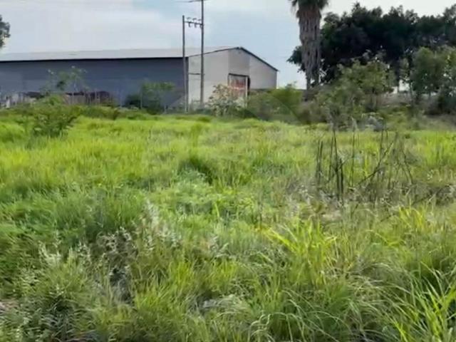 Terreno Comercial en venta en La Concha