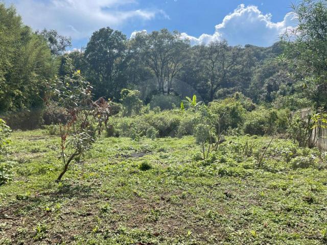 Terreno Comercial en venta en Nueva Santa Mar?a