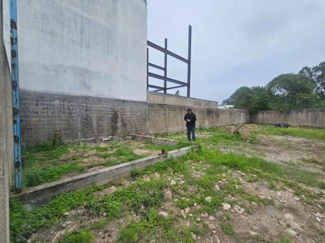 TERRENO COMERCIAL EN VENTA EN R/A PLUTARCO ELIAS CALLES F 1154