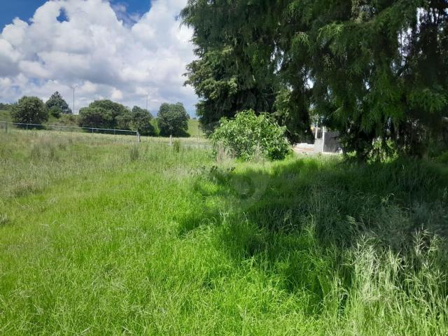 Terreno Comercial en venta en San Bartolom? Tlaltelulco