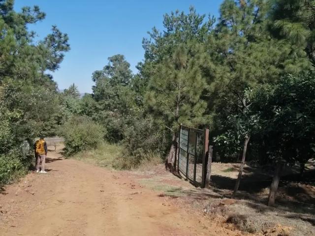 Terreno Comercial en Venta en San Miguel Nocutzepo, Michoacán