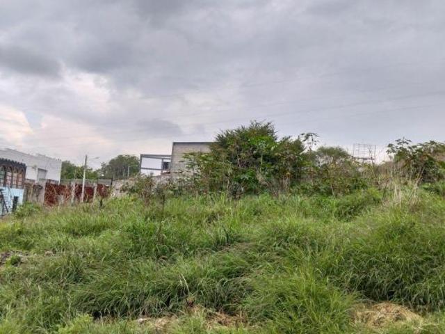 TERRENO COMERCIAL EN VENTA EN SAN PEDRITO PEÑUELAS