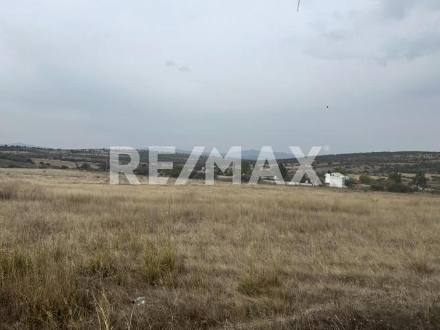 Terreno comercial en venta San Antonio Corrales, La Sabanilla, Jerécuaro, Guanajuato