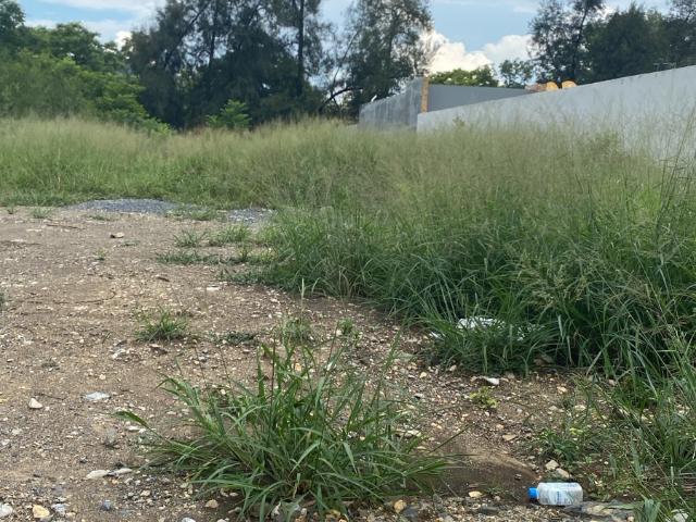 Terreno comercial en Los Rodriguez