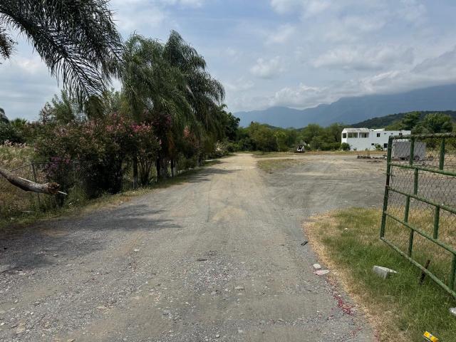 Terreno comercial en Montemorelos