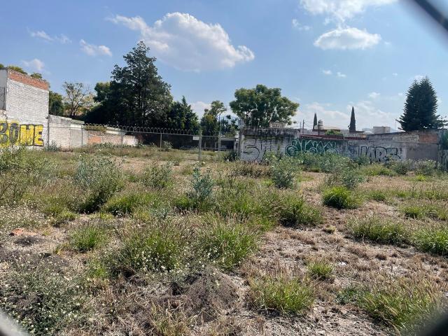 TERRENO COMERCIAL EN RENTA