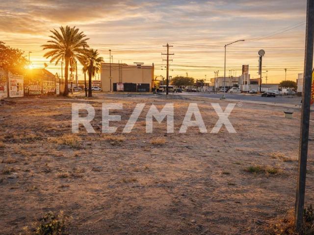 TERRENO COMERCIAL EN RENTA DE 900 M2 EN SAN LUIS RIO COLORADO