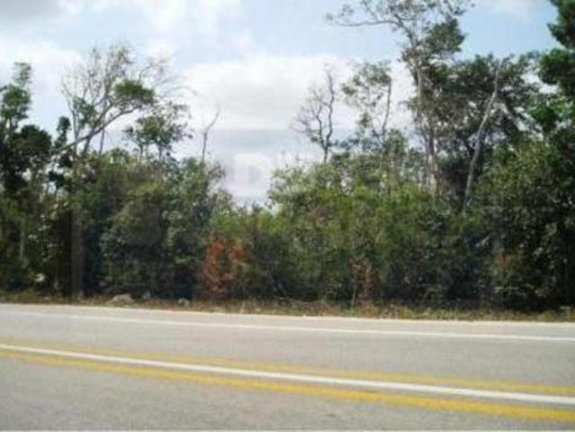 Terreno Comercial en Renta en Canc?n. 20000 m2. Autopista M?rida Chichen Itza. 900 m de Av. Huayac?n