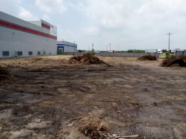 Terreno comercial en renta en carretera Laredo en Ciénega de Flores