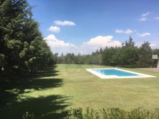 Terreno Comercial en renta en Libertad