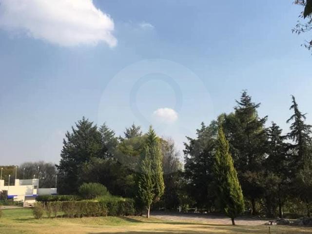Terreno Comercial en renta en Libertad
