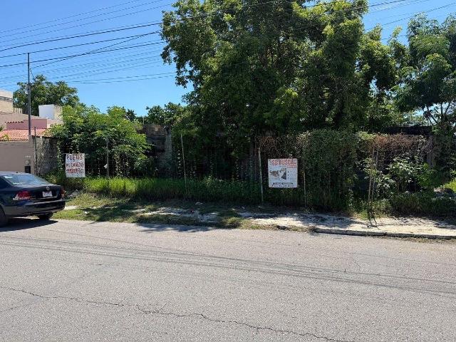 Terreno comercial en Renta sobre Avenida Campestre en M?rida Yucat?n