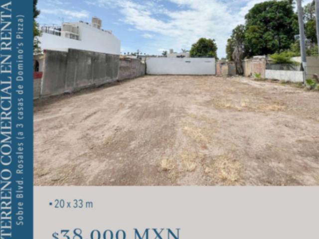 TERRENO COMERCIAL EN RENTA SOBRE BOULEVARD ROSALES
