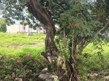 Terreno Comercial en Renta Sobre la Avenida 69