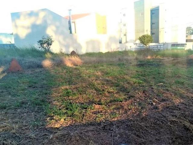 Terreno Comercial na Av Zélia Lourdes Vercelino