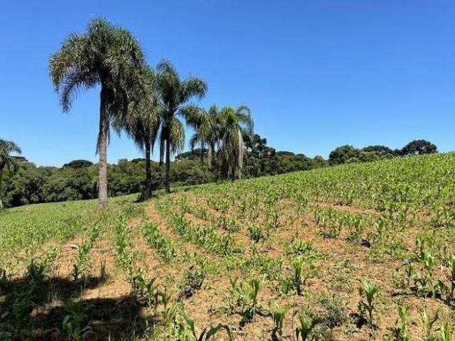Terreno comercial ou residencial | Umbará | 15.524m²