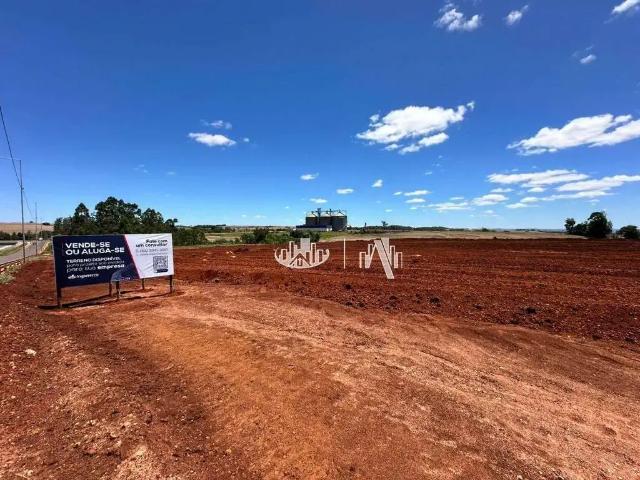 Terreno comercial para Locação em Tamarana/PR Zona Rural