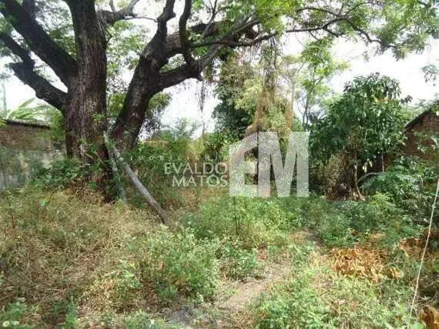 Terreno comercial para Locação em Teresina/PI Matinha
