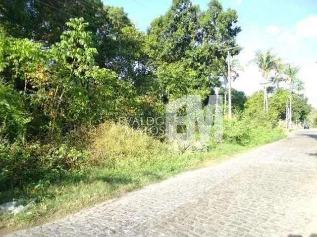 Terreno comercial para Locação em Teresina/PI Morros