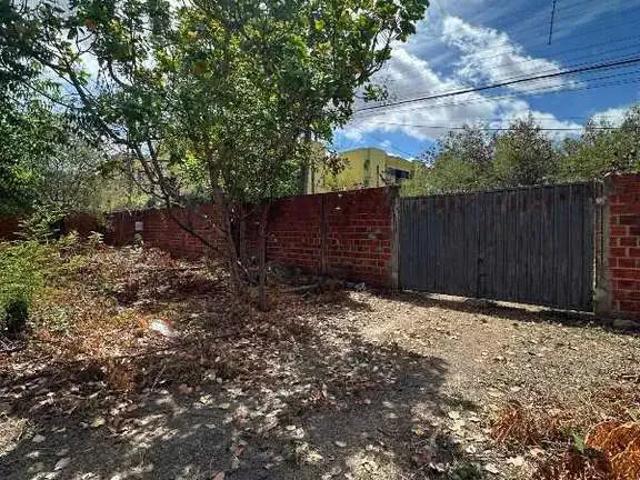 Terreno comercial para Locação em Teresina/PI Horto