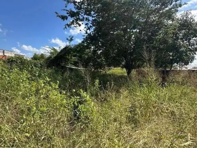 Terreno comercial para Locação em Teresina/PI Uruguai