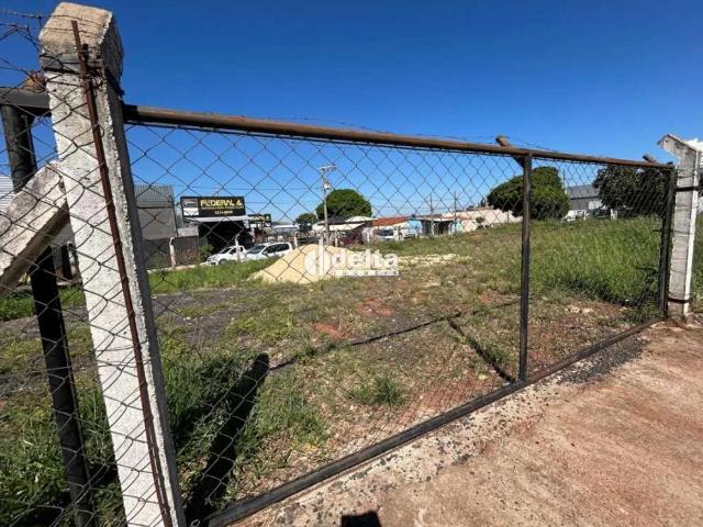 Terreno comercial para Locação em Uberlândia/MG Carajás