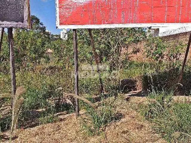 Terreno comercial para Locação em Uberlândia/MG Cidade Jardim