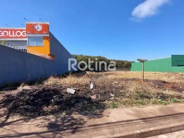 Terreno comercial para Locação em Uberlândia/MG Aclimação