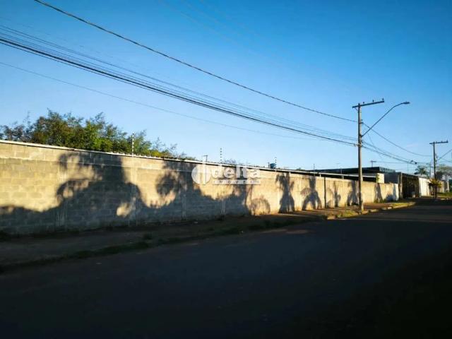 Terreno comercial para Locação em Uberlândia/MG Aclimação