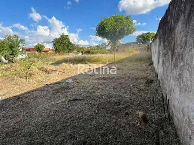 Terreno comercial para Locação em Uberlândia/MG Aclimação