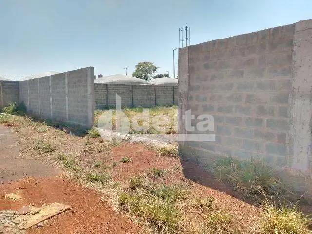 Terreno comercial para Locação em Uberlândia/MG Aclimação