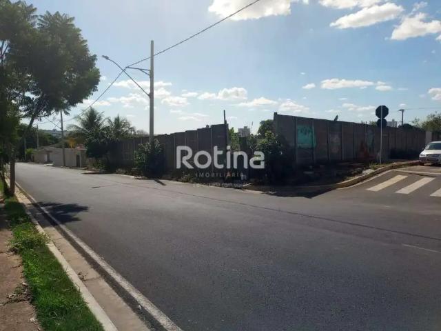 Terreno comercial para Locação em Uberlândia/MG Aclimação