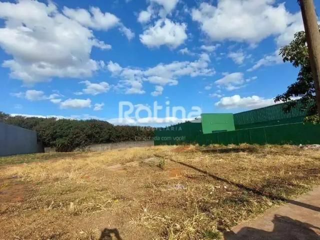 Terreno comercial para Locação em Uberlândia/MG Aclimação