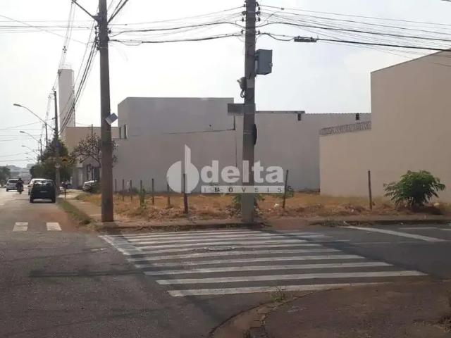 Terreno comercial para Locação em Uberlândia/MG Alto Umuarama