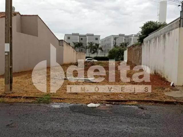Terreno comercial para Locação em Uberlândia/MG Alto Umuarama