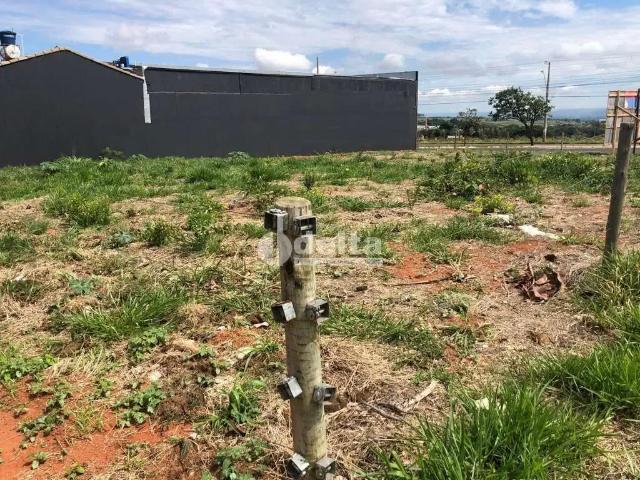 Terreno comercial para Locação em Uberlândia/MG Alto Umuarama