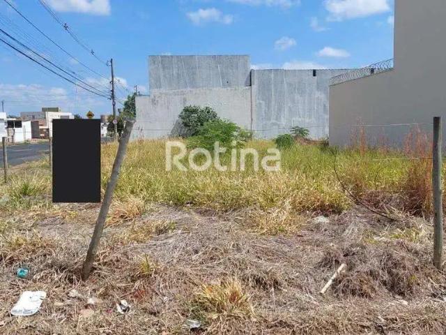 Terreno comercial para Locação em Uberlândia/MG Alto Umuarama