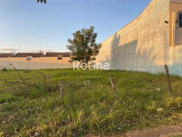 Terreno comercial para Locação em Uberlândia/MG Alto Umuarama