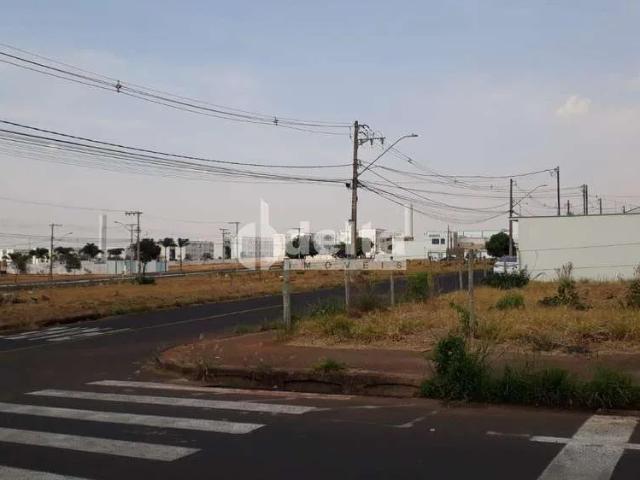Terreno comercial para Locação em Uberlândia/MG Alto Umuarama