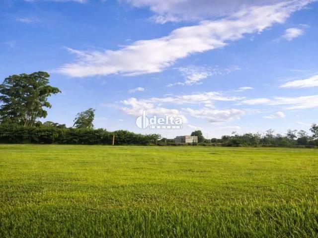 Terreno comercial para Locação em Uberlândia/MG Área Rural de Uberlândia