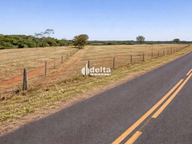 Terreno comercial para Locação em Uberlândia/MG Área Rural de Uberlândia