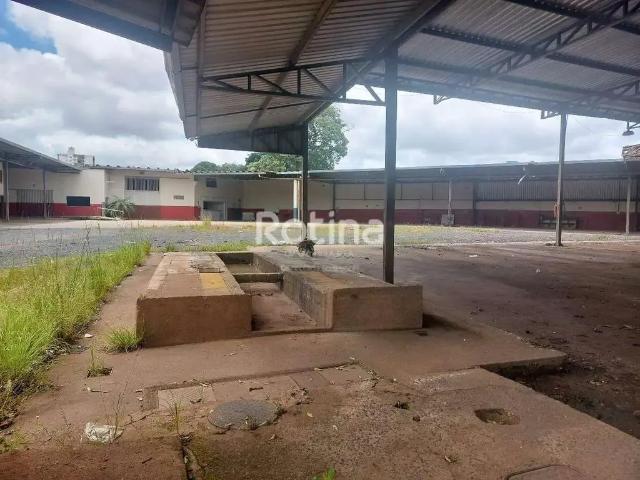 Terreno comercial para Locação em Uberlândia/MG Bom Jesus