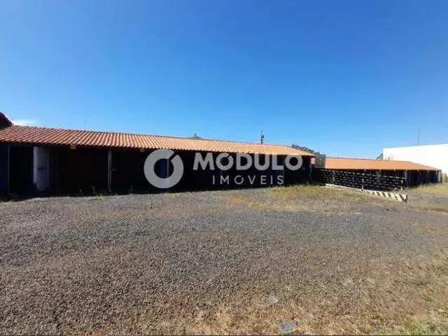 Terreno comercial para Locação em Uberlândia/MG Brasil